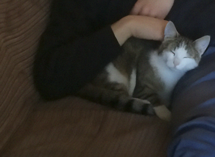 Took Her A Day Before The Lockdown. She Instantly Became Our Friend