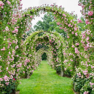 lee-stone-kiss avatar