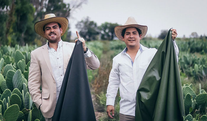 These Guys Found A Way To Make Leather Out Of Cactus Leaves To Help Save The Environment These Guys Found A Way To Make Leather Out Of Cactus Leaves To Help Save The Environment