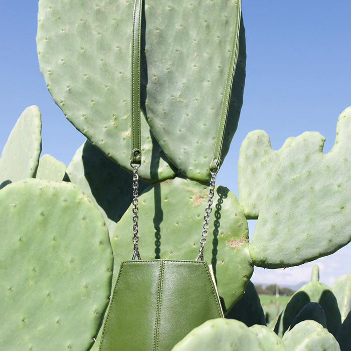 These Guys Found A Way To Make Leather Out Of Cactus Leaves To Help Save The Environment