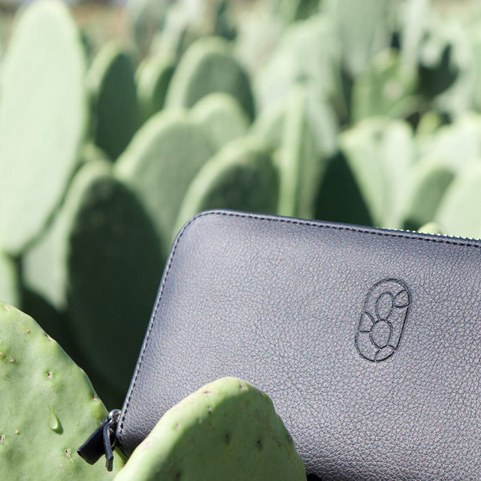 These Guys Found A Way To Make Leather Out Of Cactus Leaves To Help Save The Environment