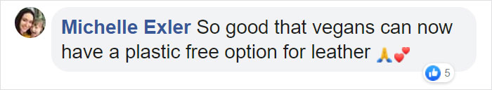 These Guys Found A Way To Make Leather Out Of Cactus Leaves To Help Save The Environment These Guys Found A Way To Make Leather Out Of Cactus Leaves To Help Save The Environment