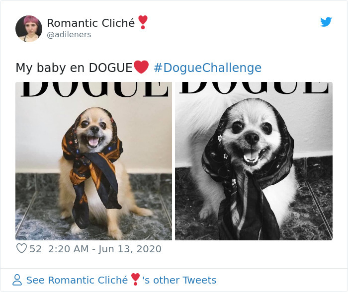 Vogue-Cover-Pets-Challenge