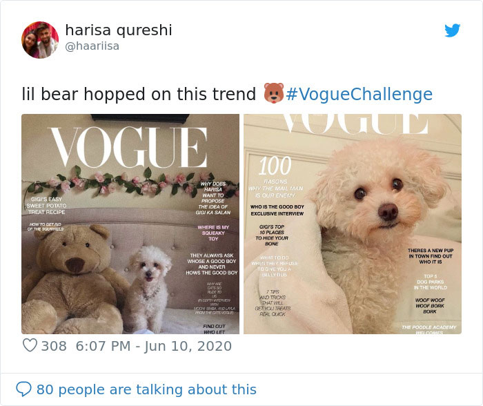Vogue-Cover-Pets-Challenge