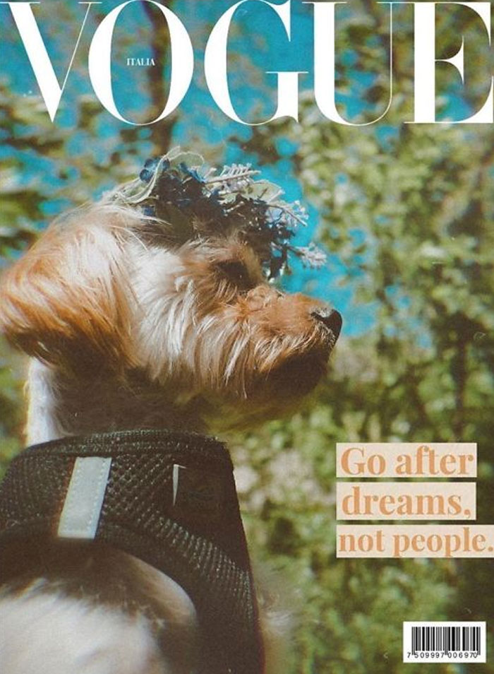 Vogue-Cover-Pets-Challenge
