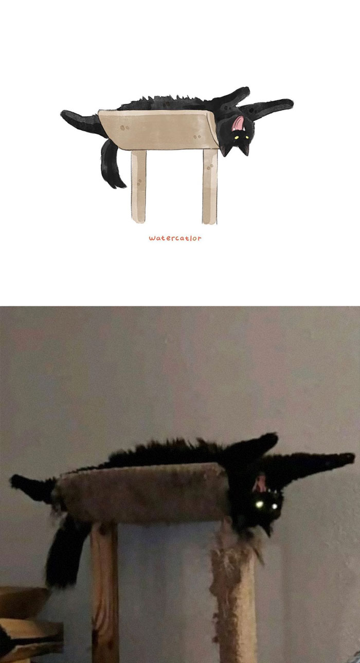 Watercolor-Cat-Paintings-Watercatlor