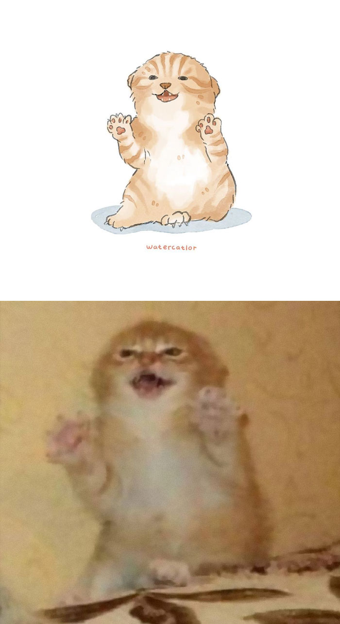 Watercolor-Cat-Paintings-Watercatlor