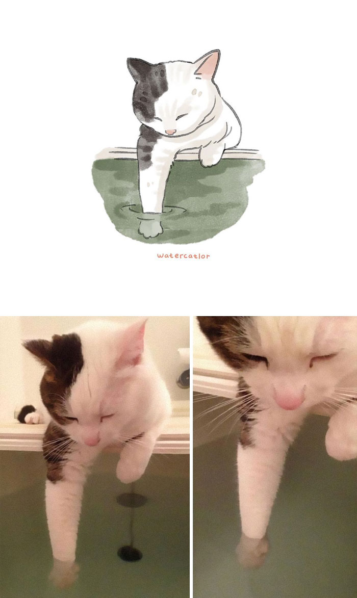 Watercolor-Cat-Paintings-Watercatlor