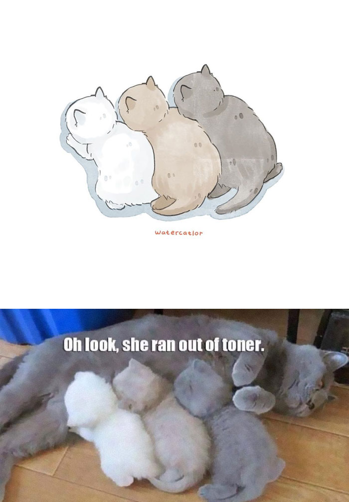 Watercolor-Cat-Paintings-Watercatlor