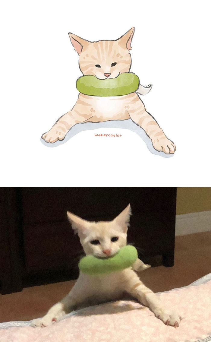 Watercolor-Cat-Paintings-Watercatlor