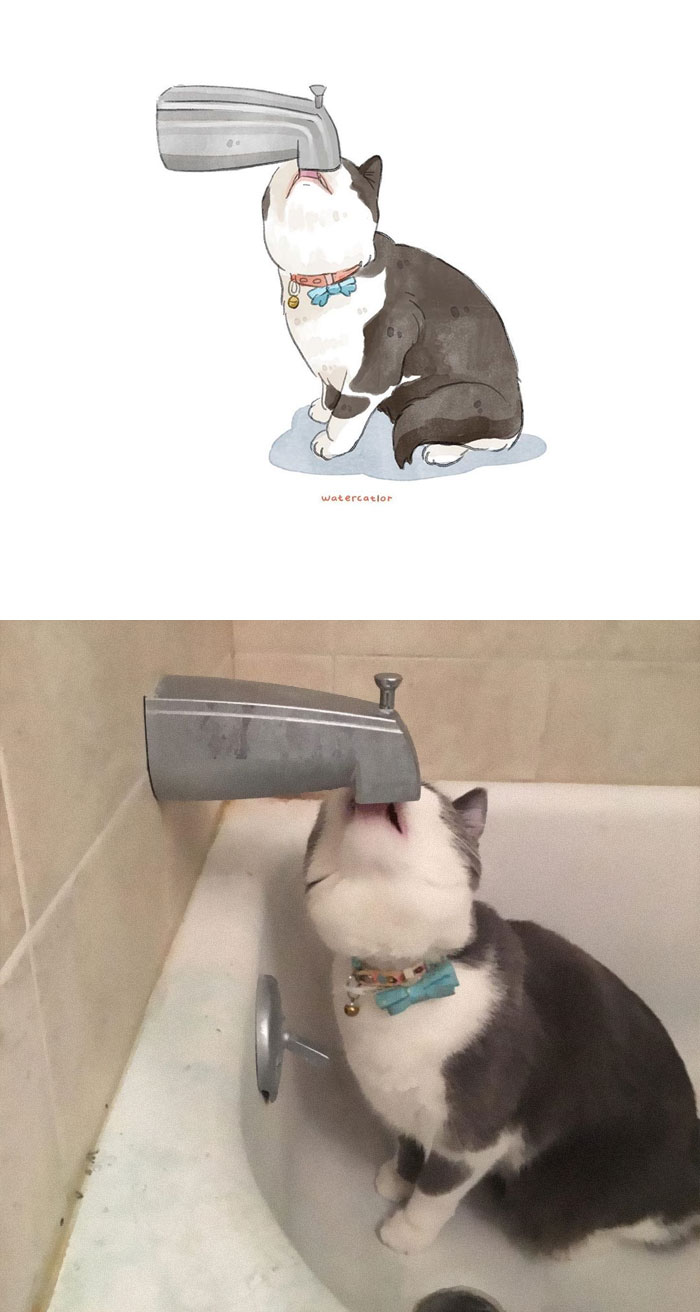 Watercolor-Cat-Paintings-Watercatlor