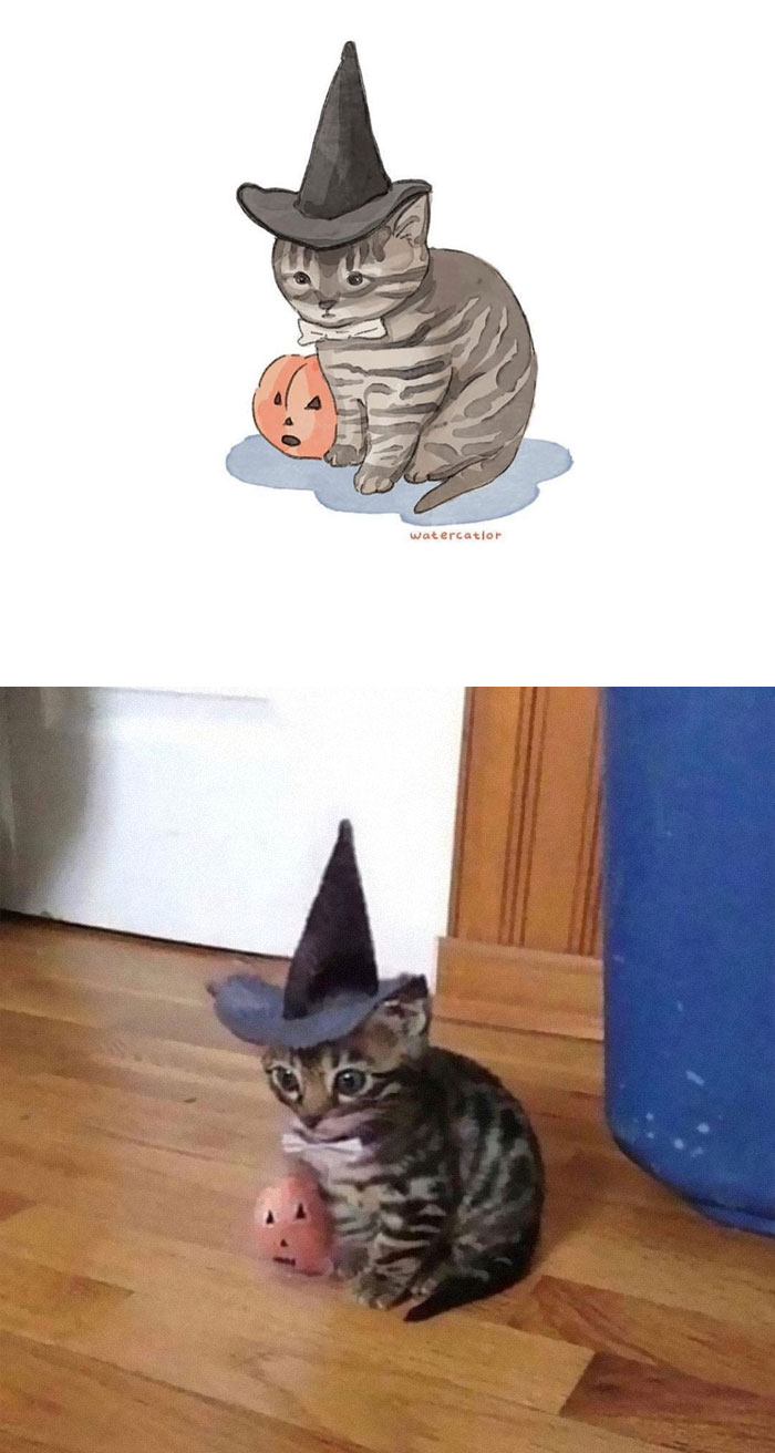 Watercolor-Cat-Paintings-Watercatlor