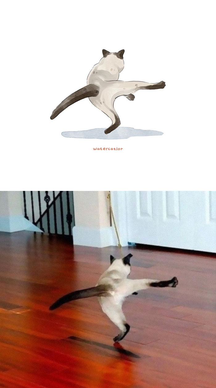 Watercolor-Cat-Paintings-Watercatlor