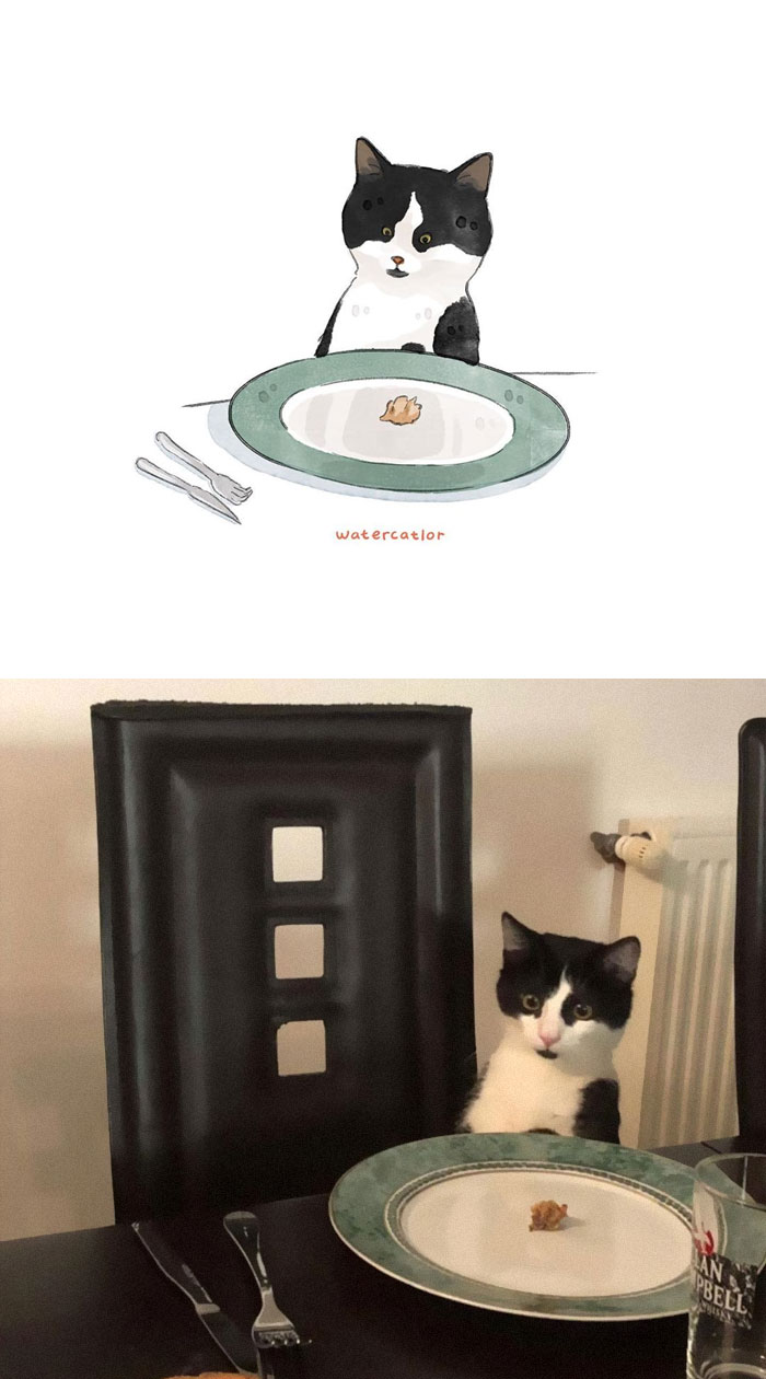 Watercolor-Cat-Paintings-Watercatlor