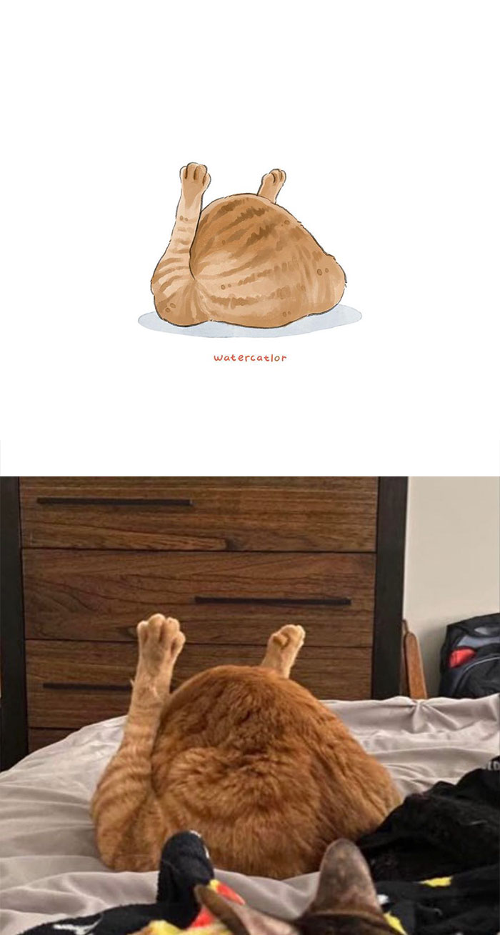 Watercolor-Cat-Paintings-Watercatlor