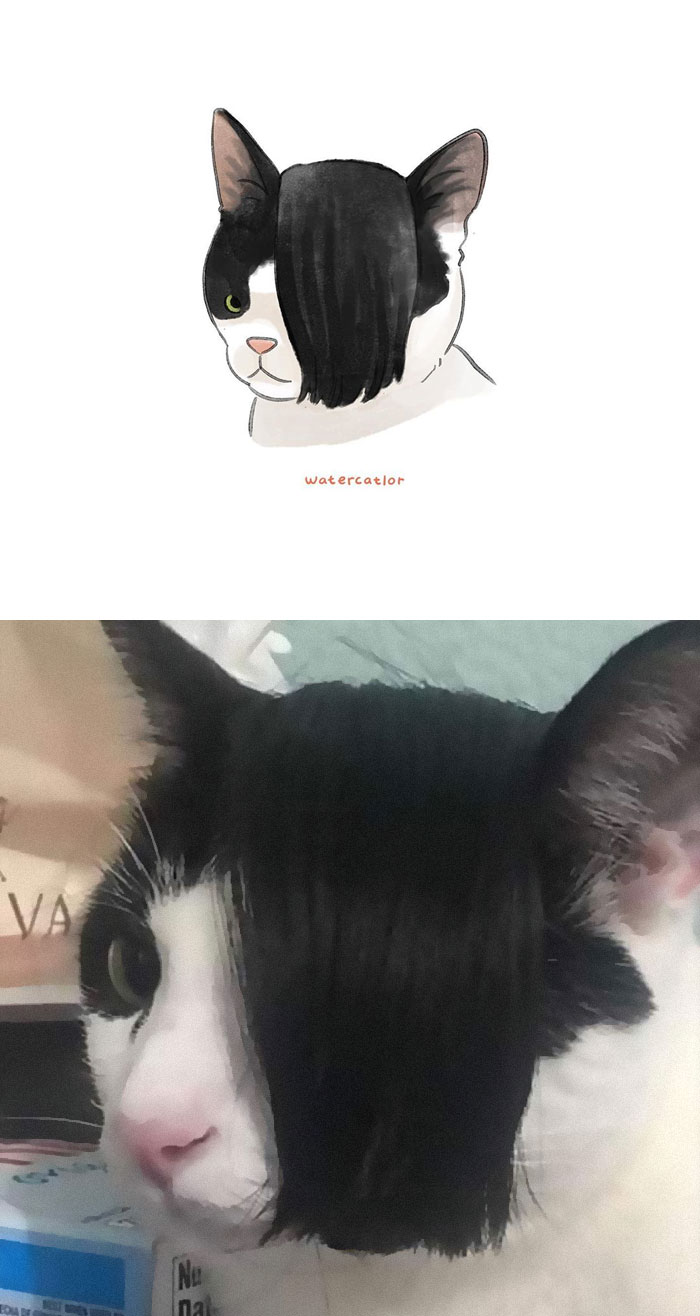 Watercolor-Cat-Paintings-Watercatlor