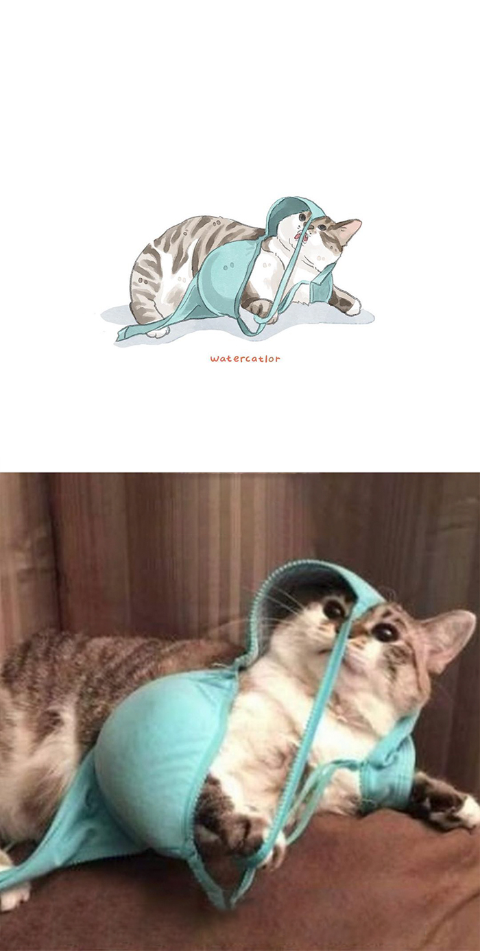 Watercolor-Cat-Paintings-Watercatlor