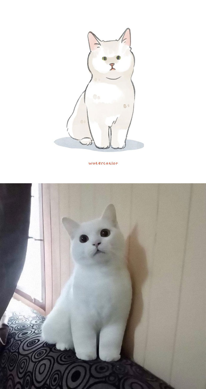 Watercolor-Cat-Paintings-Watercatlor