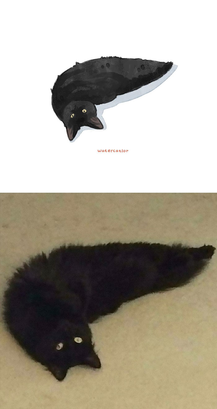 Watercolor-Cat-Paintings-Watercatlor