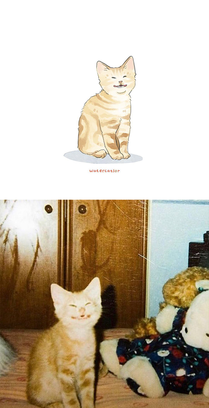 Watercolor-Cat-Paintings-Watercatlor
