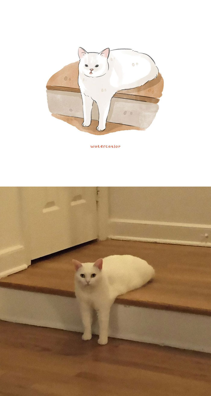 Watercolor-Cat-Paintings-Watercatlor