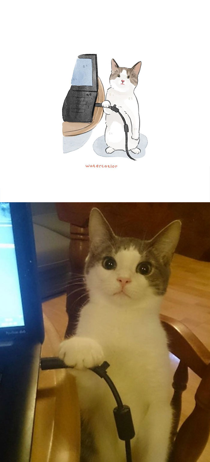 Watercolor-Cat-Paintings-Watercatlor