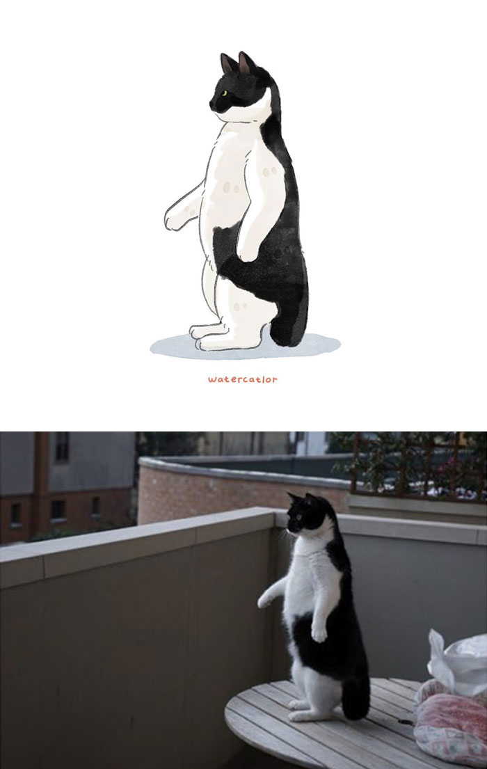 Watercolor-Cat-Paintings-Watercatlor