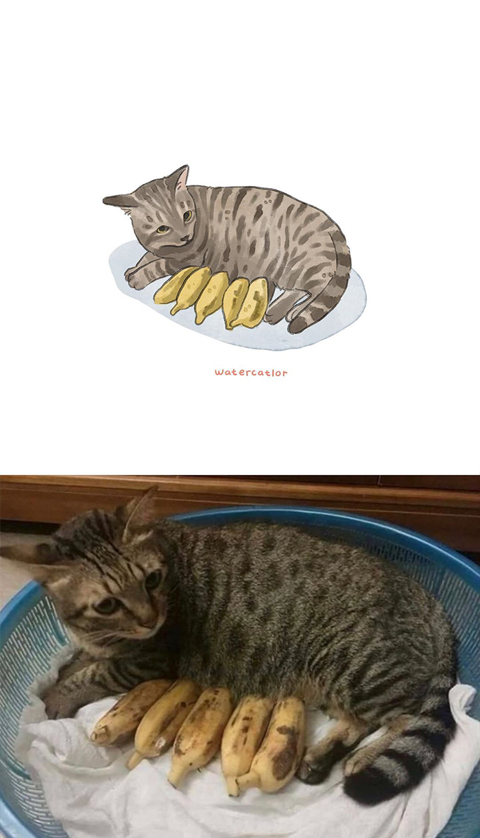 Watercolor-Cat-Paintings-Watercatlor