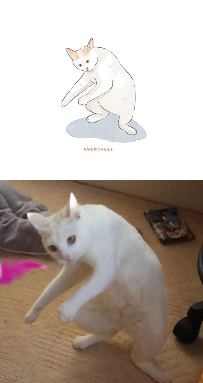 Watercolor-Cat-Paintings-Watercatlor