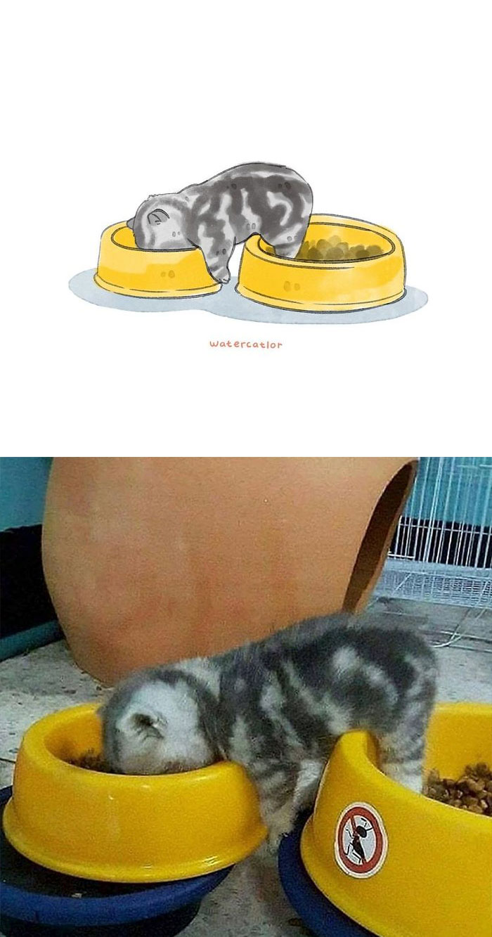 Watercolor-Cat-Paintings-Watercatlor