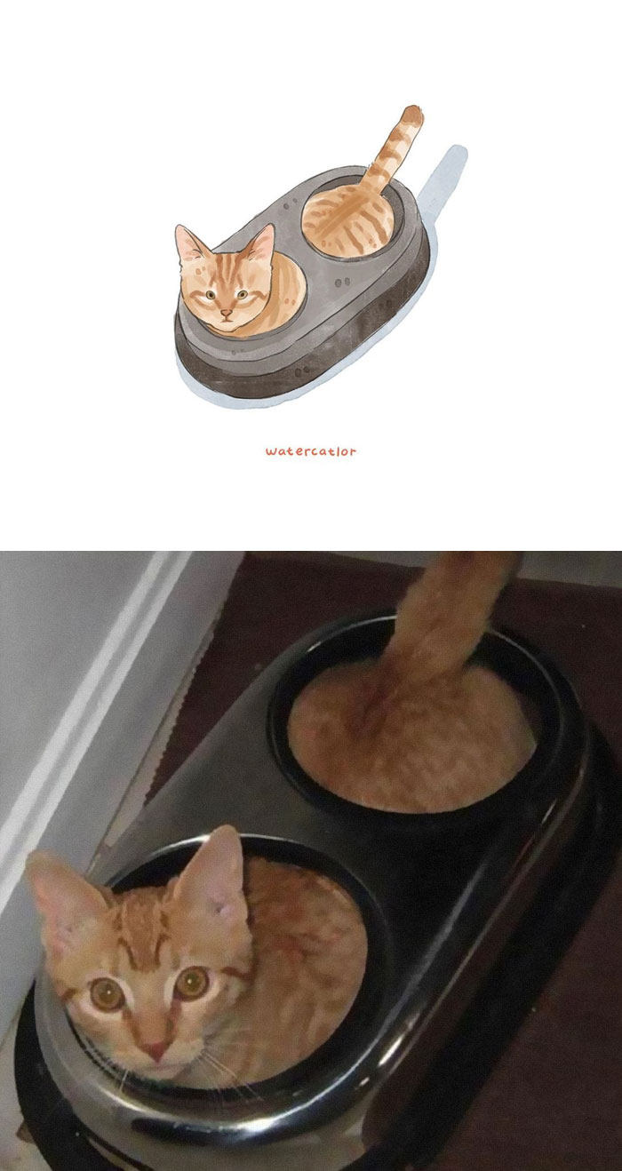 Watercolor-Cat-Paintings-Watercatlor