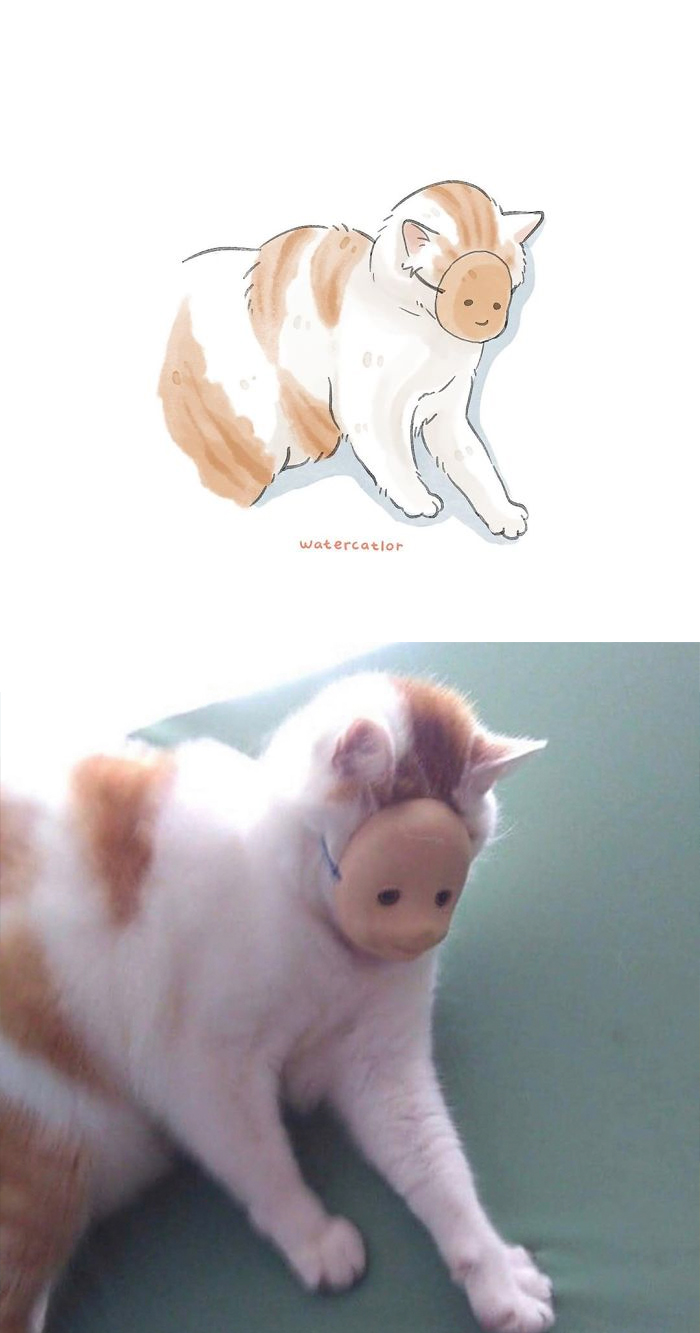 Watercolor-Cat-Paintings-Watercatlor