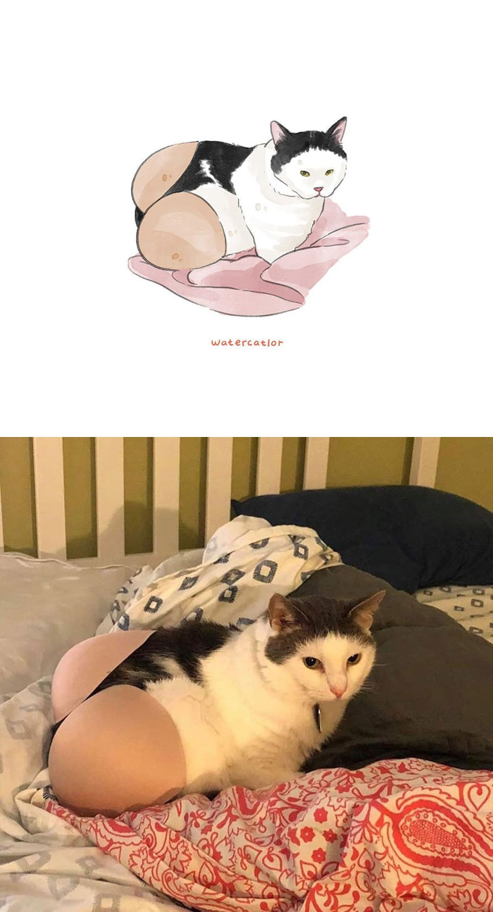 Watercolor-Cat-Paintings-Watercatlor