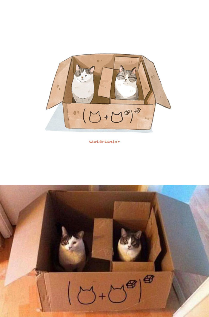 Watercolor-Cat-Paintings-Watercatlor