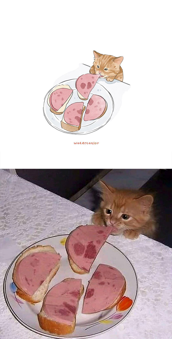 Watercolor-Cat-Paintings-Watercatlor