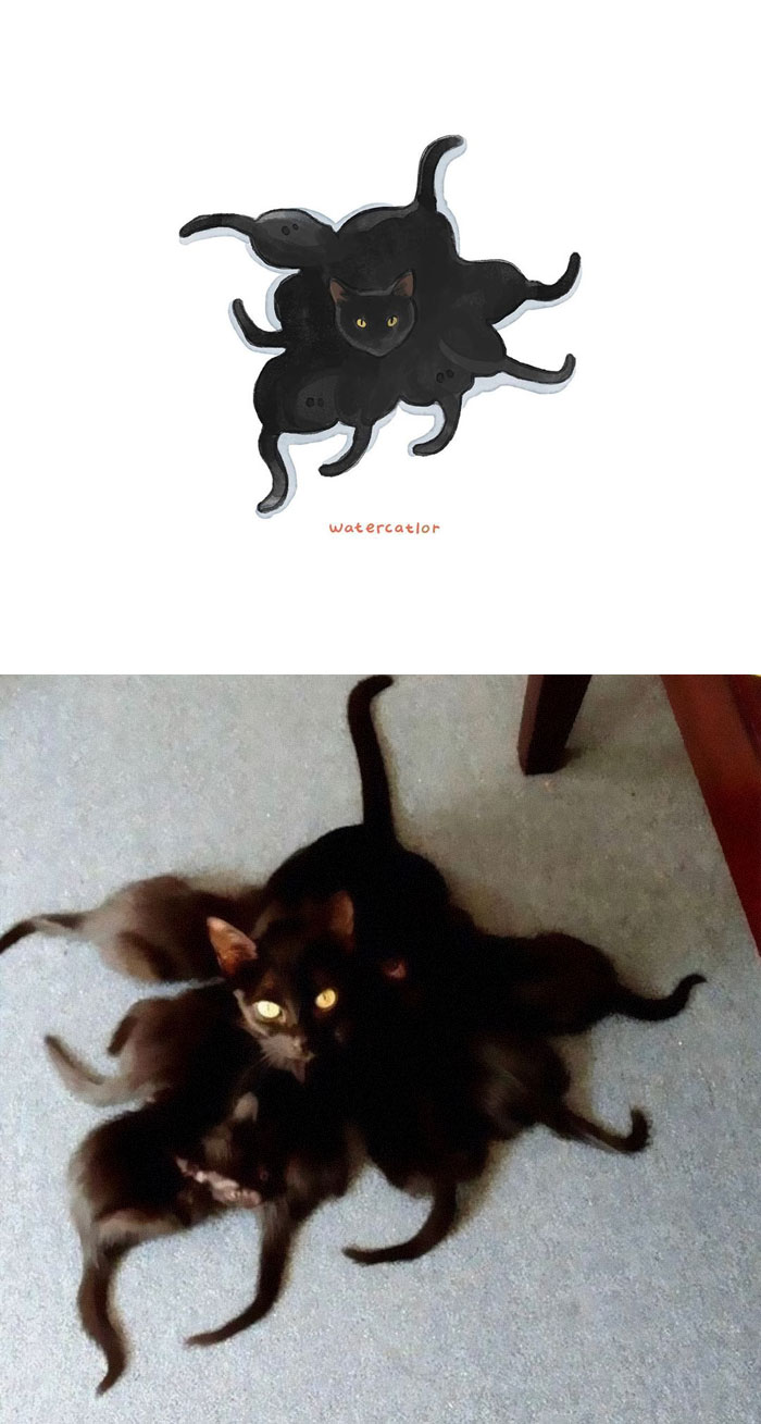 Watercolor-Cat-Paintings-Watercatlor