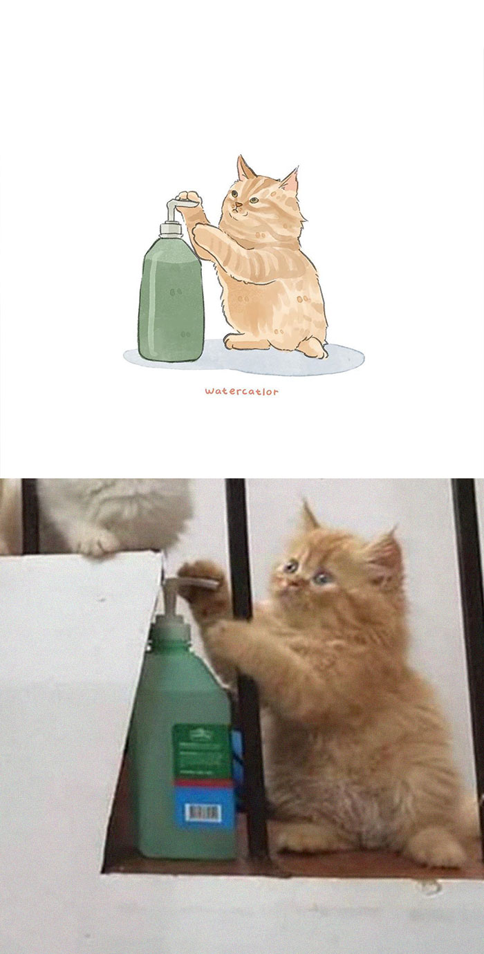 Watercolor-Cat-Paintings-Watercatlor