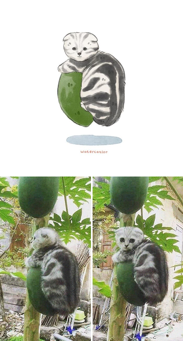 Watercolor-Cat-Paintings-Watercatlor