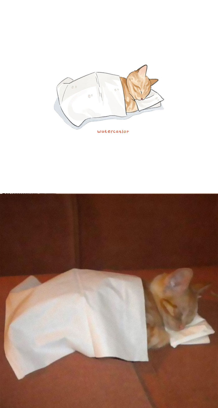 Watercolor-Cat-Paintings-Watercatlor