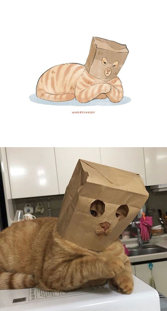 Watercolor-Cat-Paintings-Watercatlor