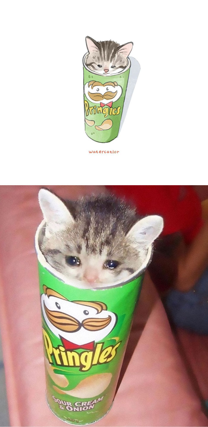 Watercolor-Cat-Paintings-Watercatlor