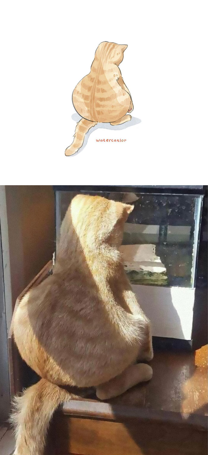 Watercolor-Cat-Paintings-Watercatlor