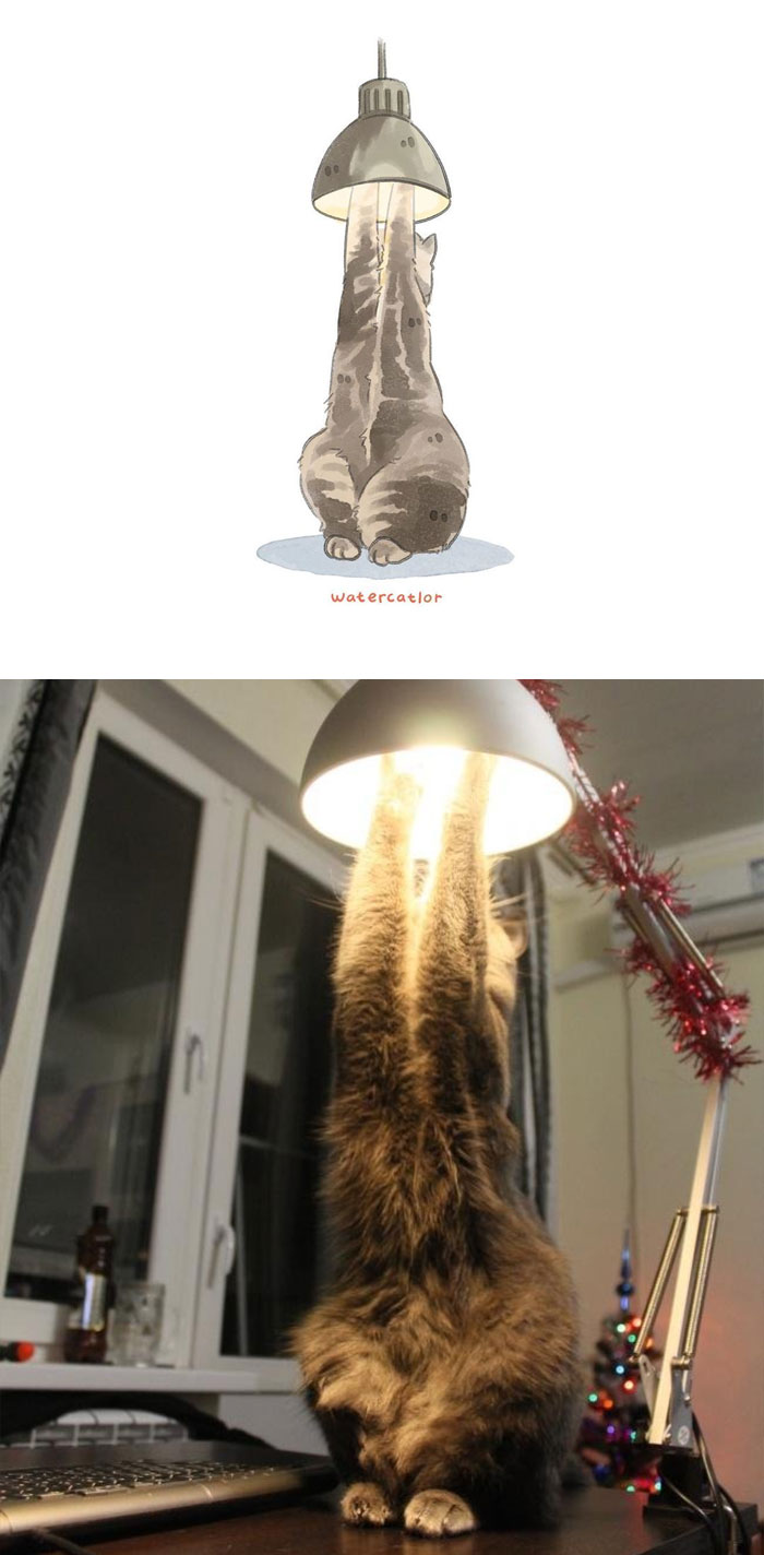 Watercolor-Cat-Paintings-Watercatlor