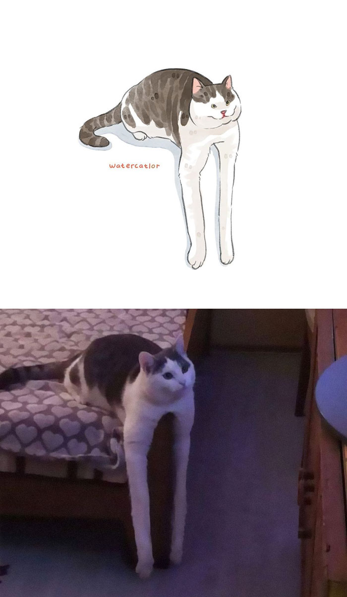 Watercolor-Cat-Paintings-Watercatlor