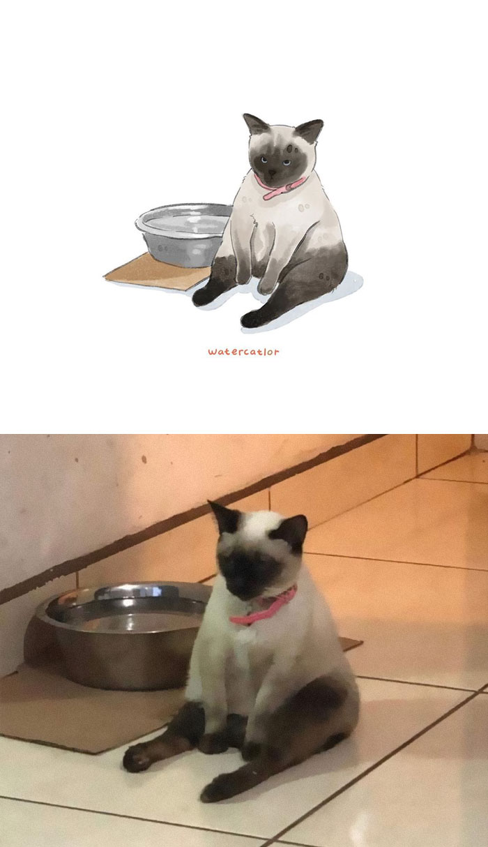 Watercolor-Cat-Paintings-Watercatlor