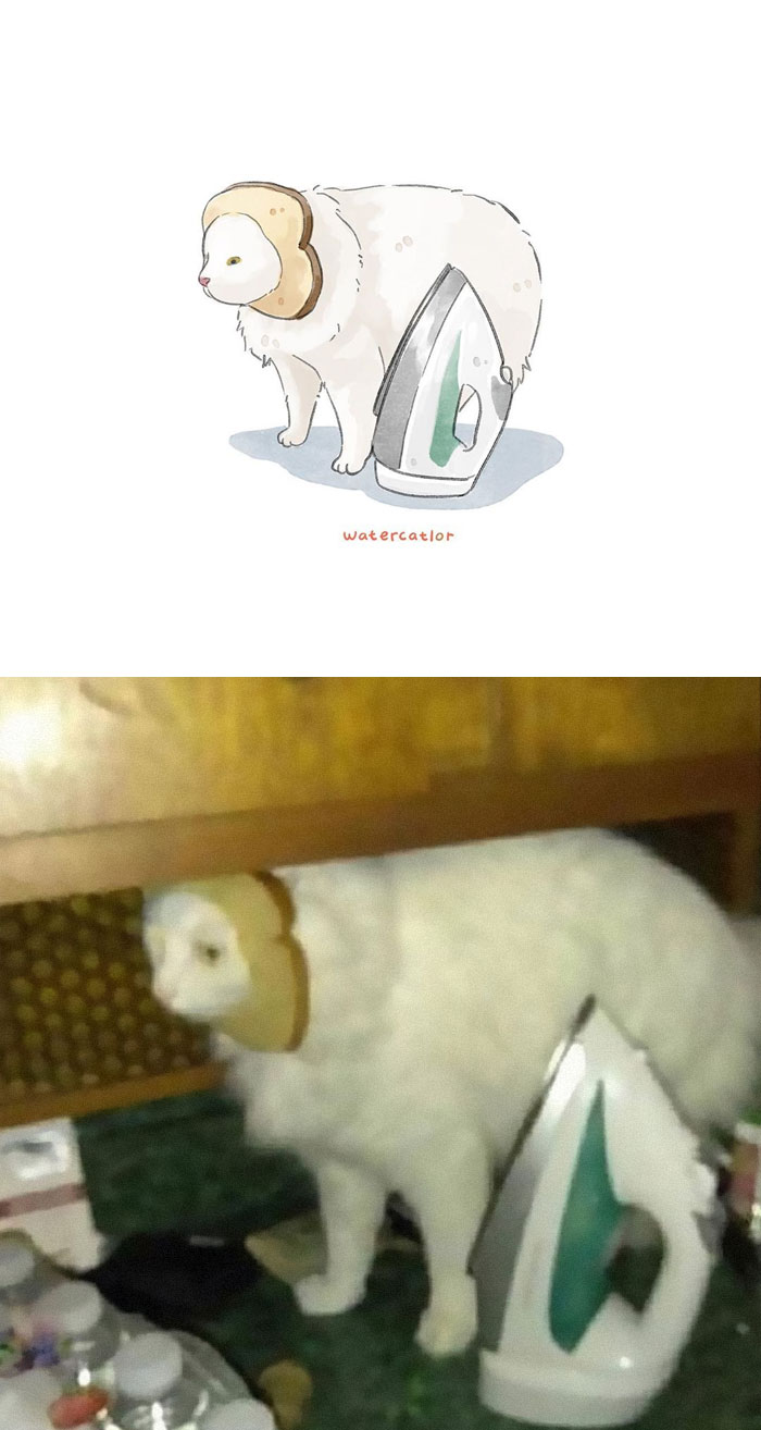 Watercolor-Cat-Paintings-Watercatlor