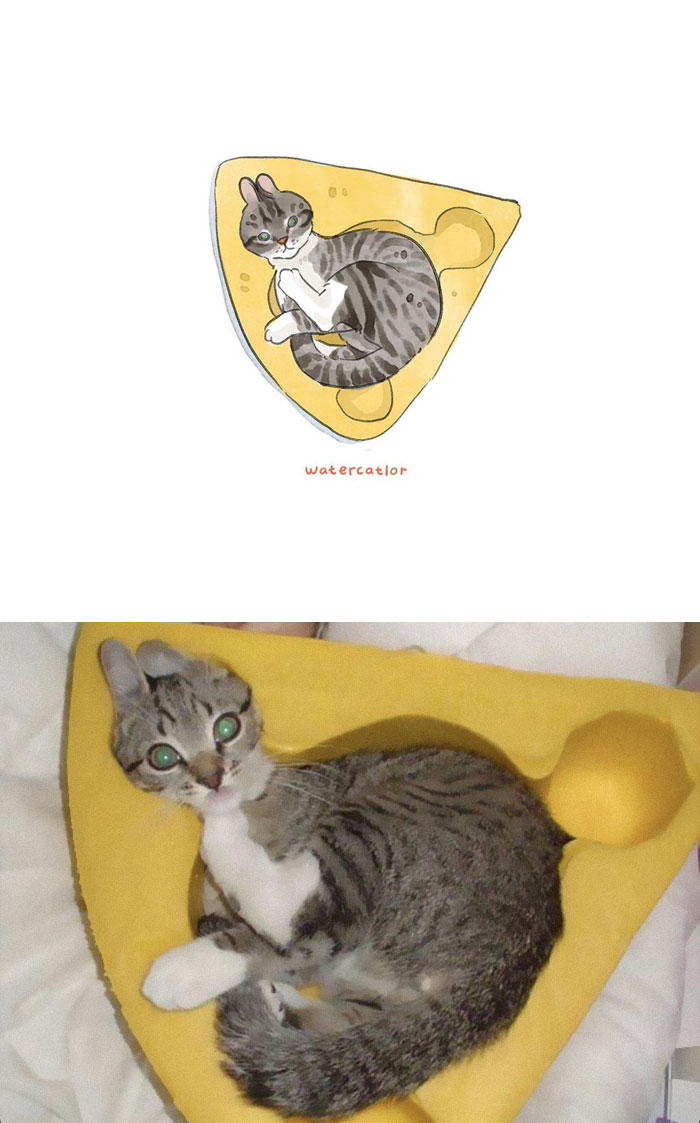 Watercolor-Cat-Paintings-Watercatlor