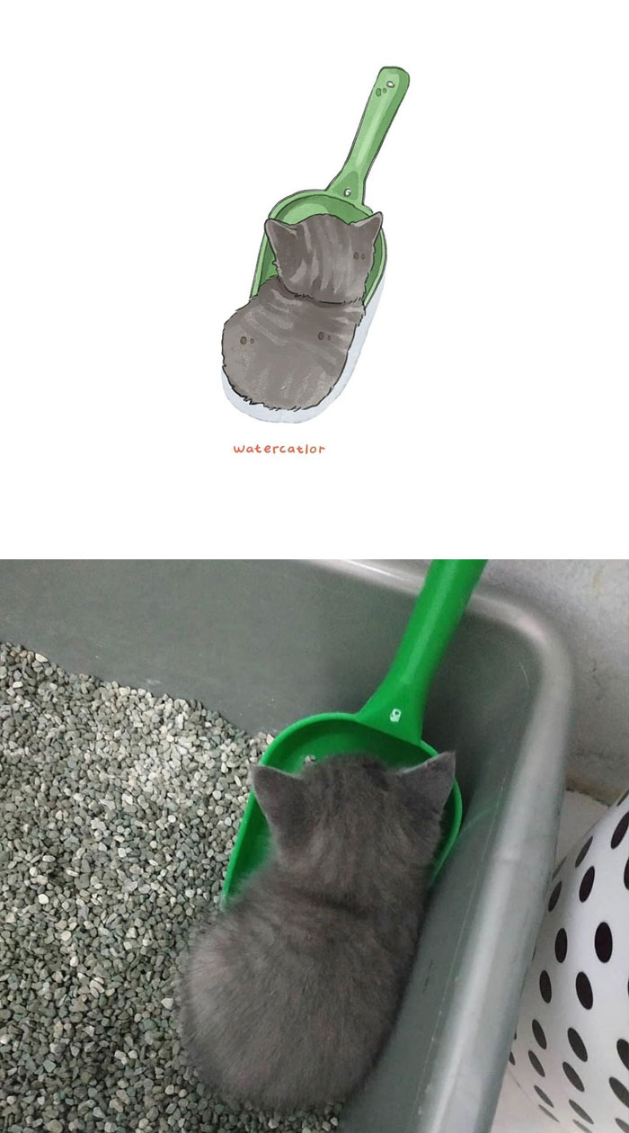 Watercolor-Cat-Paintings-Watercatlor