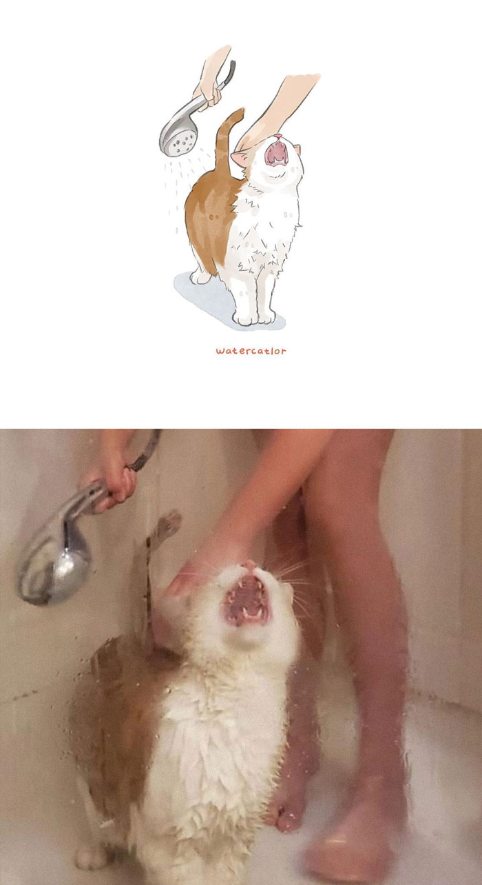 Watercolor-Cat-Paintings-Watercatlor