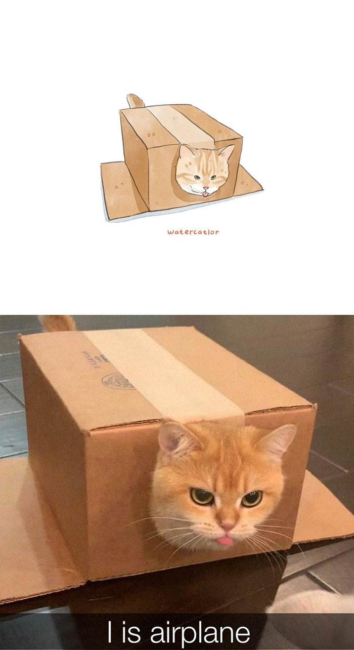 Watercolor-Cat-Paintings-Watercatlor